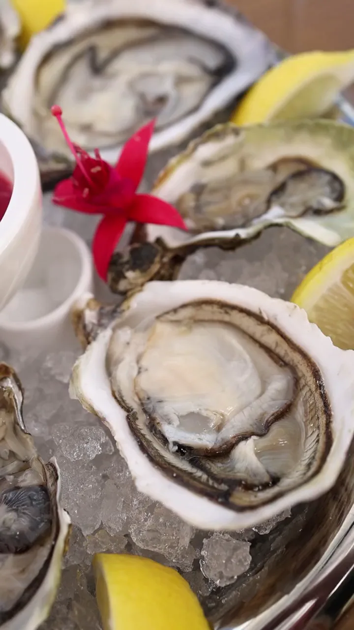 Fresh oysters on ice